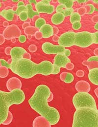 Antibiotics Viral Infection Bacterial