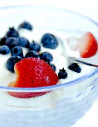 Probiotics Probiotic Foods Lactobacillus