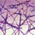 Why is Anthrax So Feared?