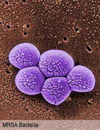 Bacterial Antibiotics Antibiotic