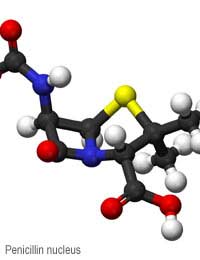 Antibiotics Penicillin Streptomycin